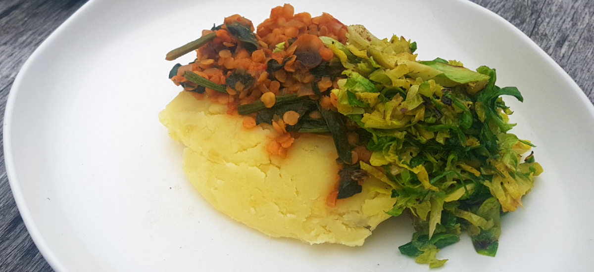 Mushroom, split pea and red wine ragu with mashed potato and charred Brussels sprouts